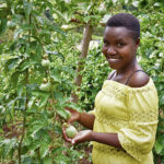 Ujasiriamali: Self-Employment and Job Creation for Youth in Kenya