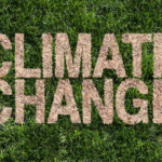 Uptake Alliance announces inaugural cohort of 15 climate-tech startups