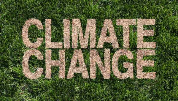 Uptake Alliance announces inaugural cohort of 15 climate-tech startups