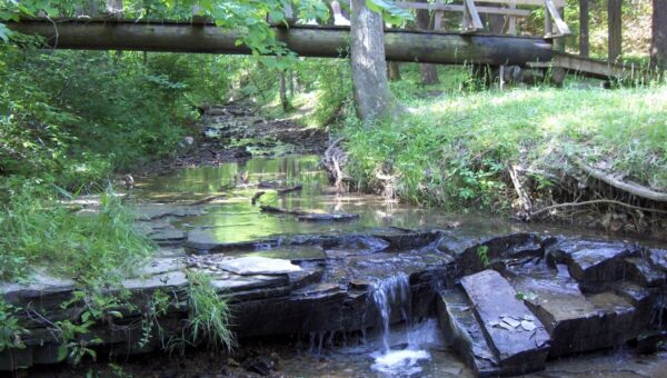 World Environment Day Kenya 2025