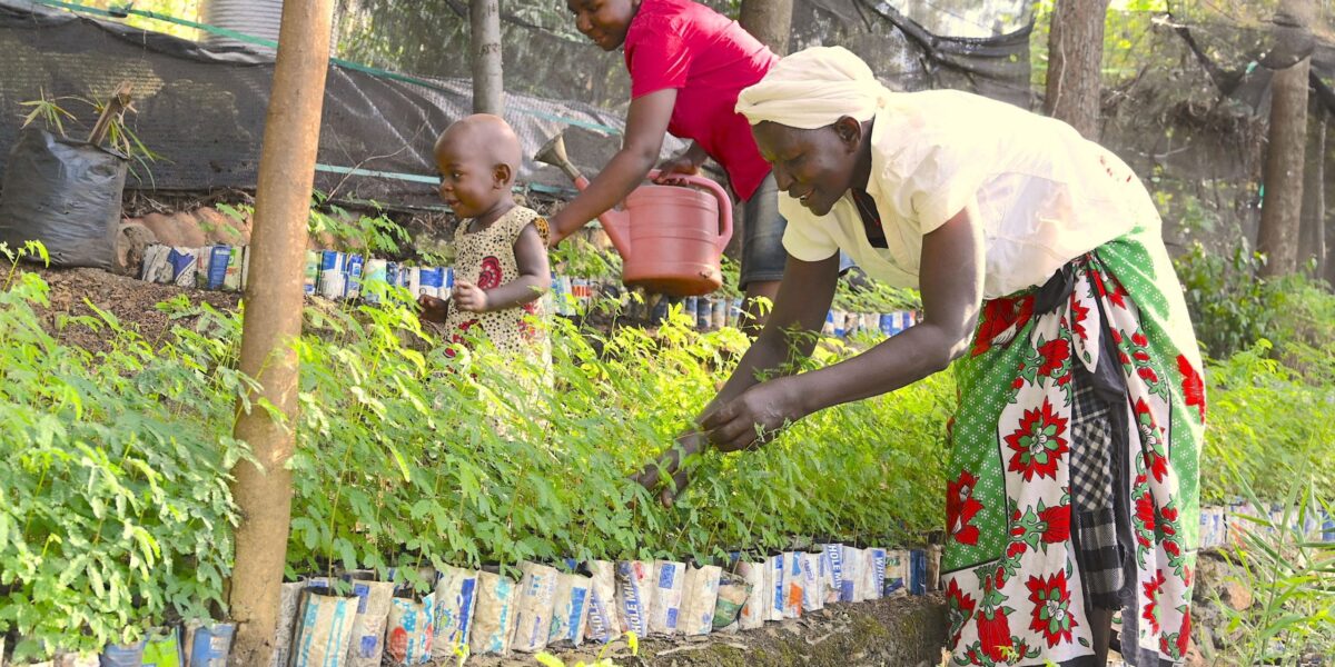 World Vision Initiative Regreening Africa Honored as UN World Restoration Flagship,