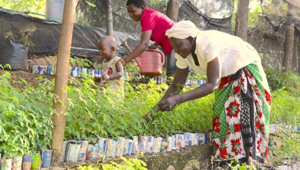 World Vision Initiative Regreening Africa Honored as UN World Restoration Flagship,